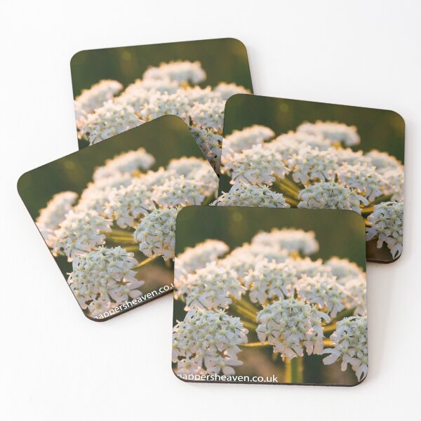 Item preview, Cowslip in the Meadowflower collection designed and sold by designbywhacky.