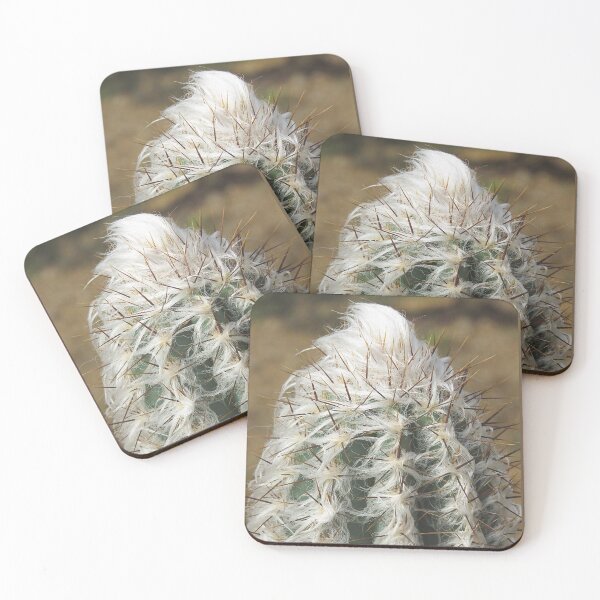 Item preview, Hairy cactus designed and sold by Linda Walsh.