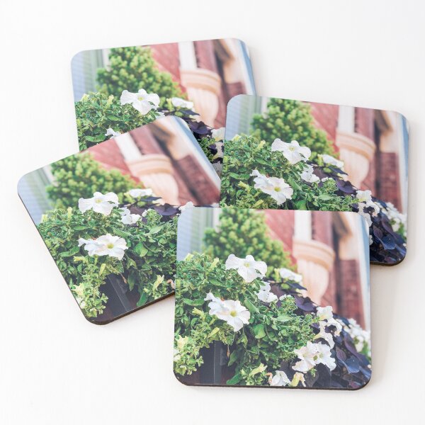 Item preview, Boston - Beacon Hill Blooms designed and sold by themayyoung.
