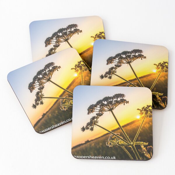 Item preview, Cowslip at sunset from Meadowflower Collection  designed and sold by designbywhacky.