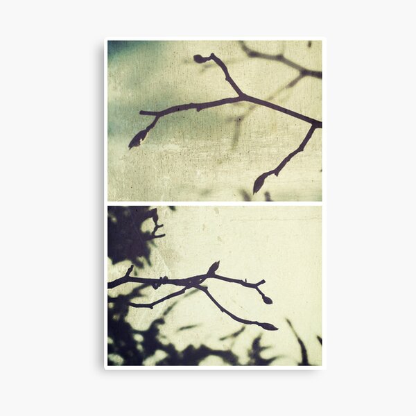 Spring I Canvas Print