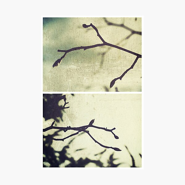 Spring I Photographic Print