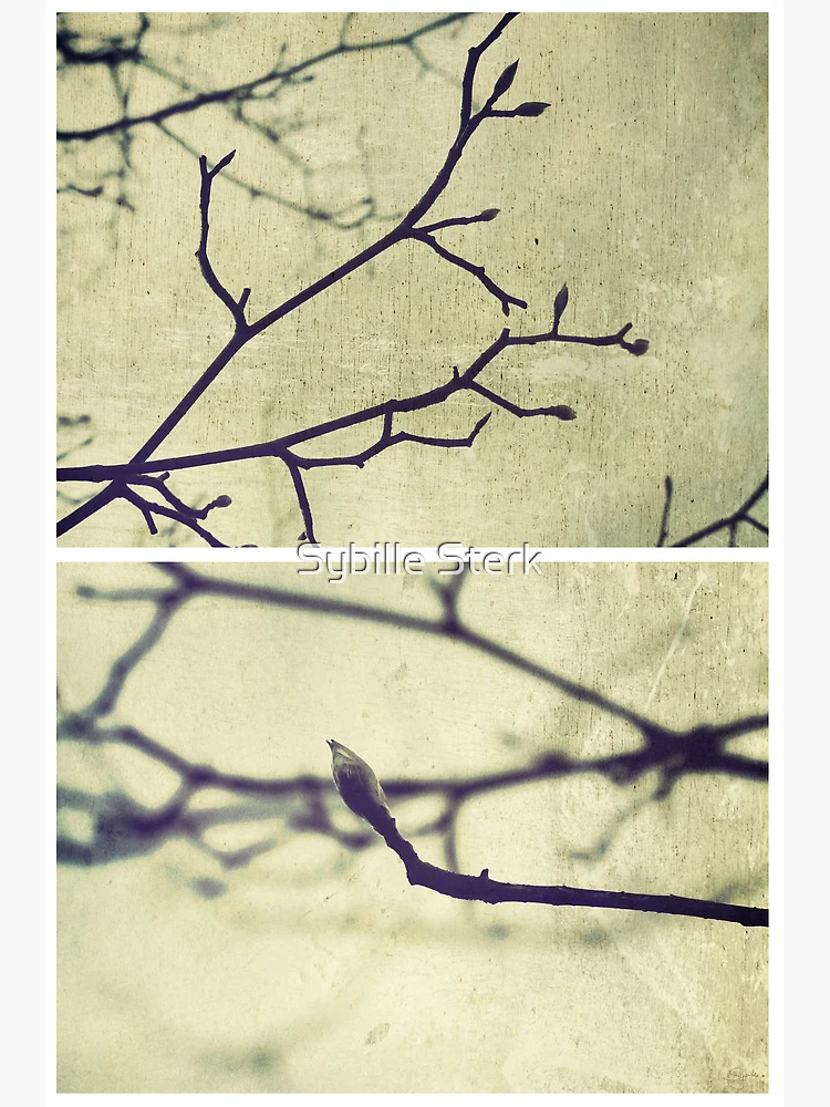 Thumbnail 2 of 2, Postcard, Spring II designed and sold by Sybille Sterk.