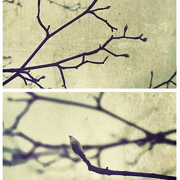 Artwork thumbnail, Spring II by Sybille Sterk