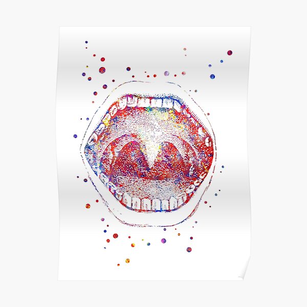 Bouche, anatomie de la bouche, bouche humaine, bouche aquarelle Poster