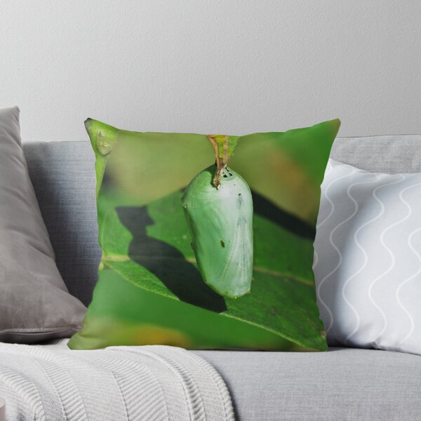 Item preview, Monarch Butterfly Cacoon  designed and sold by Ron Russell.
