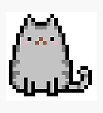 Pixel Cat - Black & Grey Photographic Print