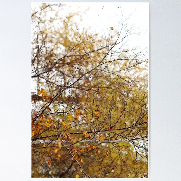 Item preview, Stop and Stare designed and sold by Anna Prendergast.