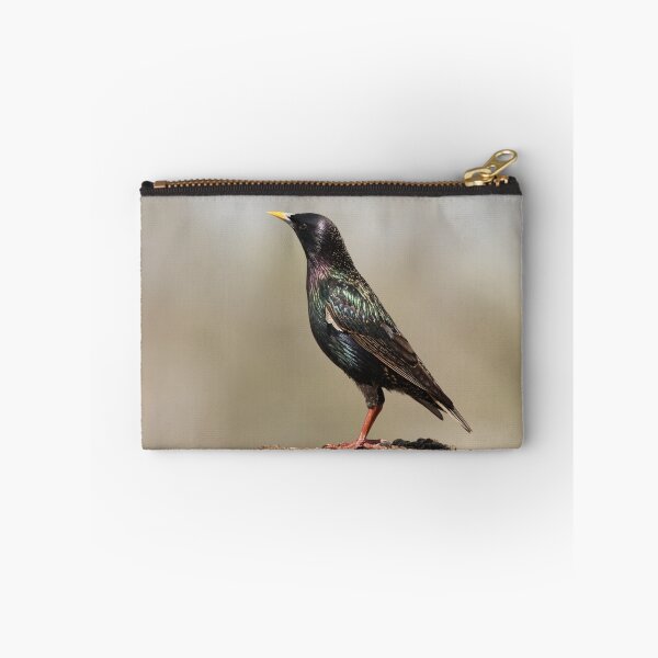 Item preview,  Iridescent Starling, designed and sold by ziggy7.