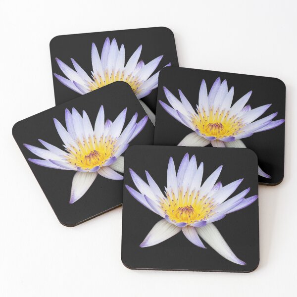 Item preview, Large Purple Water Lily designed and sold by killies.
