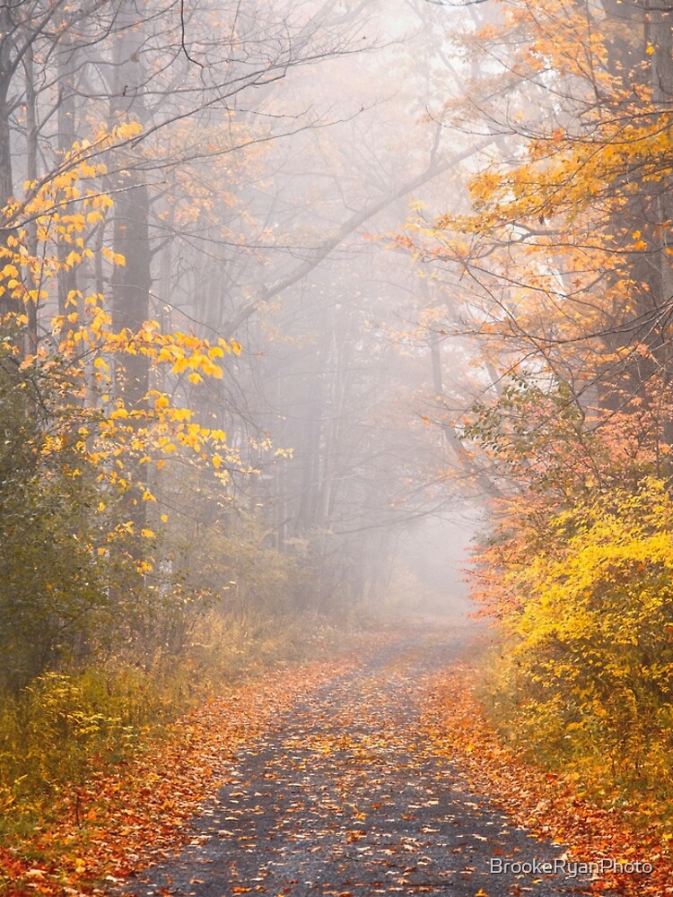 Road in Autumn Mist by BrookeRyanPhoto