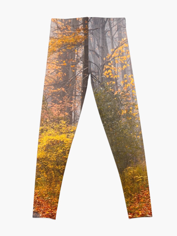 Alternate view of Road in Autumn Mist Leggings