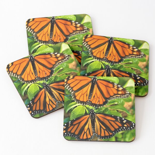 Item preview, monarchs designed and sold by Coastwind Photography.