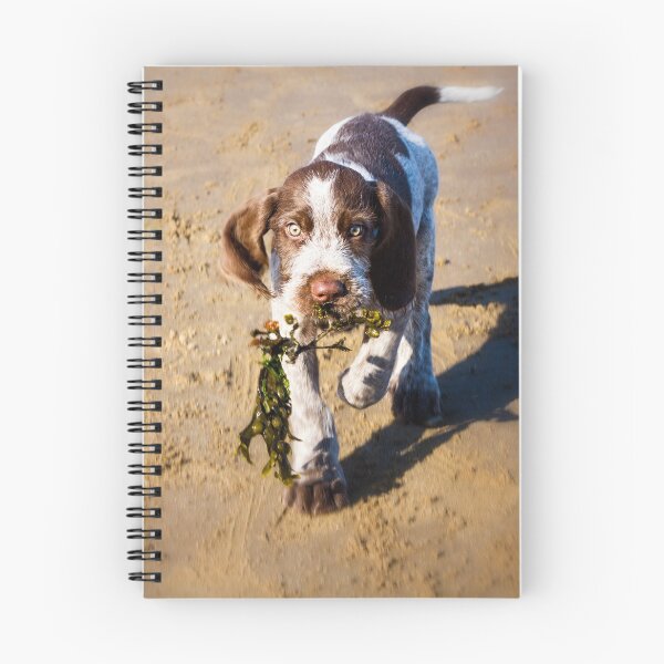 Item preview, Seaweed Puppy Spinone  designed and sold by FOLK ART FUSION.