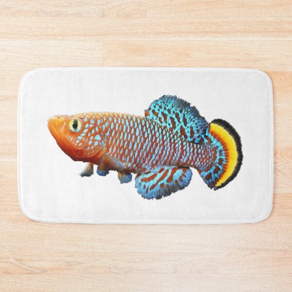 Item preview, Nothobranchius rachovii designed and sold by killies.