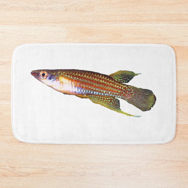 Item preview, Aplocheilus parvus Killifish designed and sold by killies.
