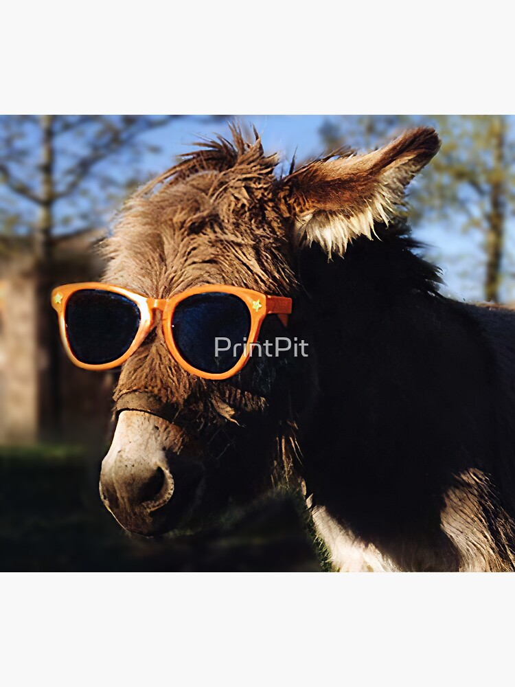 donkey sunglasses
