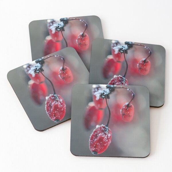 Item preview, Macro of frosted red barberry fruits in winter, with bokeh background designed and sold by macroviewpoint.