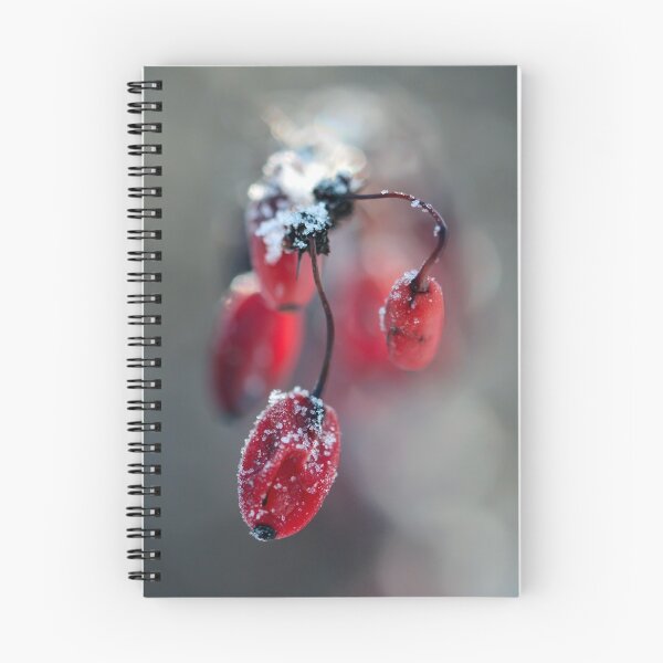 Item preview, Macro of frosted red barberry fruits in winter, with bokeh background designed and sold by macroviewpoint.