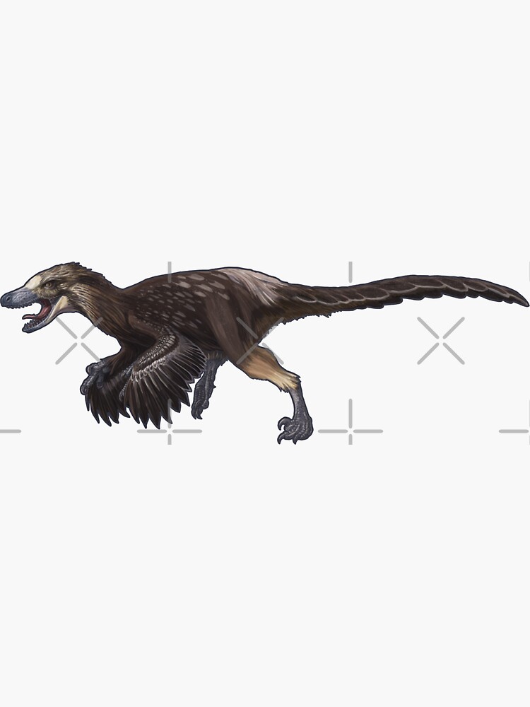 Thumbnail 3 of 3, Sticker, Velociraptor mongoliensis designed and sold by coffeeisblack.