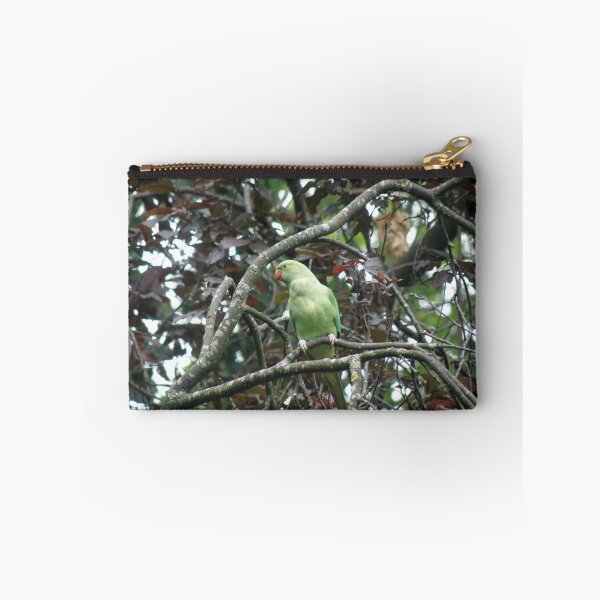 Item preview, Ring Necked Parakeet in Copper Beech Tree Photograph designed and sold by naturegallery.