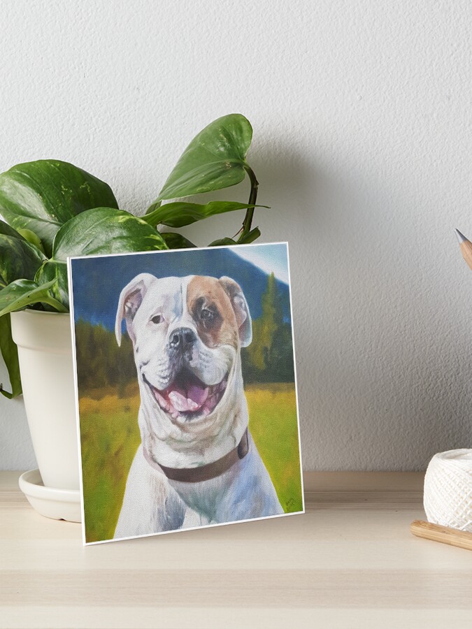 Standard American Bulldog Pet Portrait Art Board Print By Emilybickell Redbubble