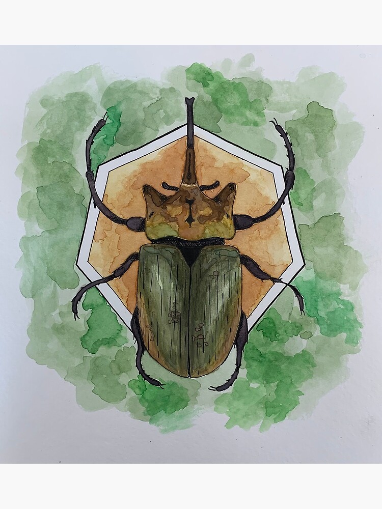 "Elephant Beetle" Poster by wizardgiles Redbubble