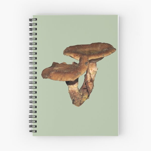 Item preview, mushroom friends designed and sold by Herons.