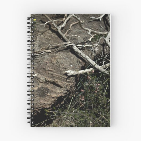 Item preview, ∃ designed and sold by Ben Loveday.