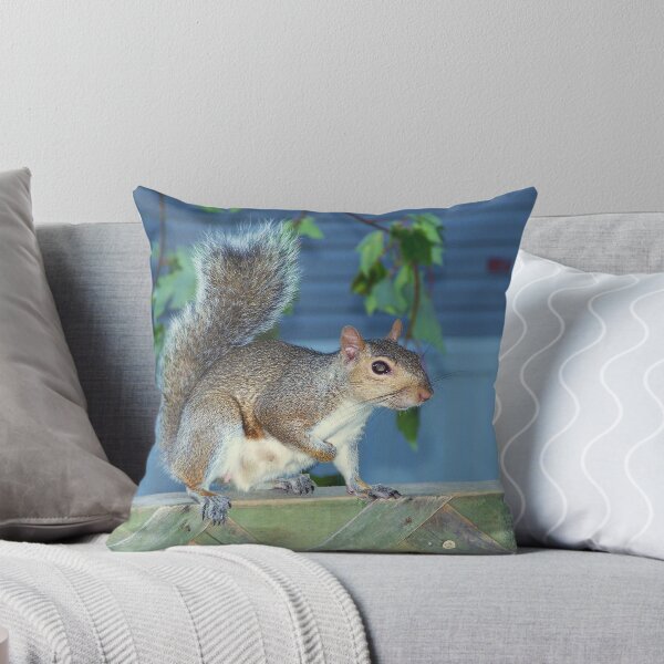 Item preview, Squirrel designed and sold by dturner22.