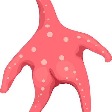 Artwork thumbnail, The Thiccest Starfish by chonkyanimals
