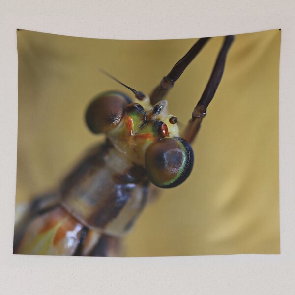 Item preview, 3x magnification. designed and sold by Yannik Hay.
