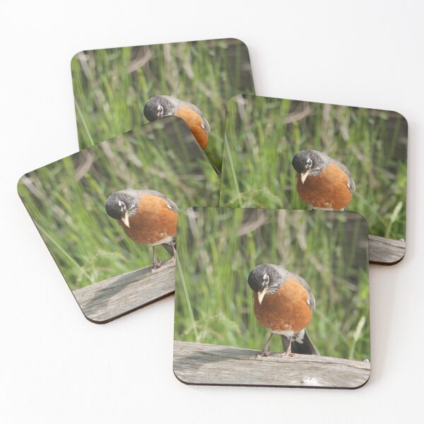 Item preview, Robin designed and sold by RichImage.