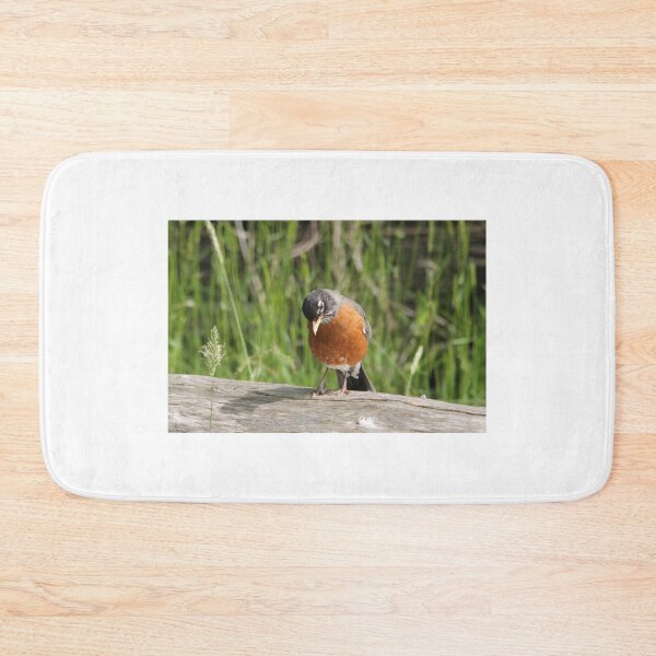 Item preview, Robin designed and sold by RichImage.