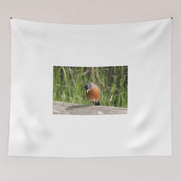 Item preview, Robin designed and sold by RichImage.