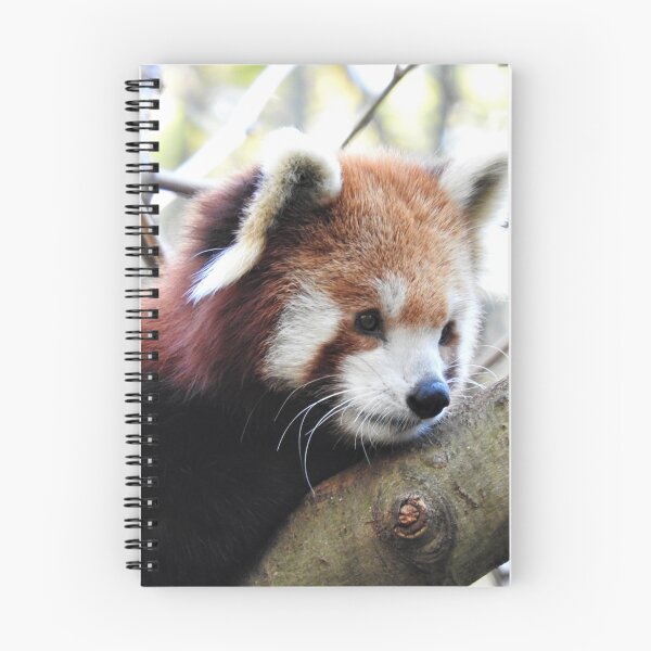 Item preview, Red Panda designed and sold by kirstybush.