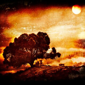 Artwork thumbnail, Bay of Fires, Tasmania by Ron C. Moss