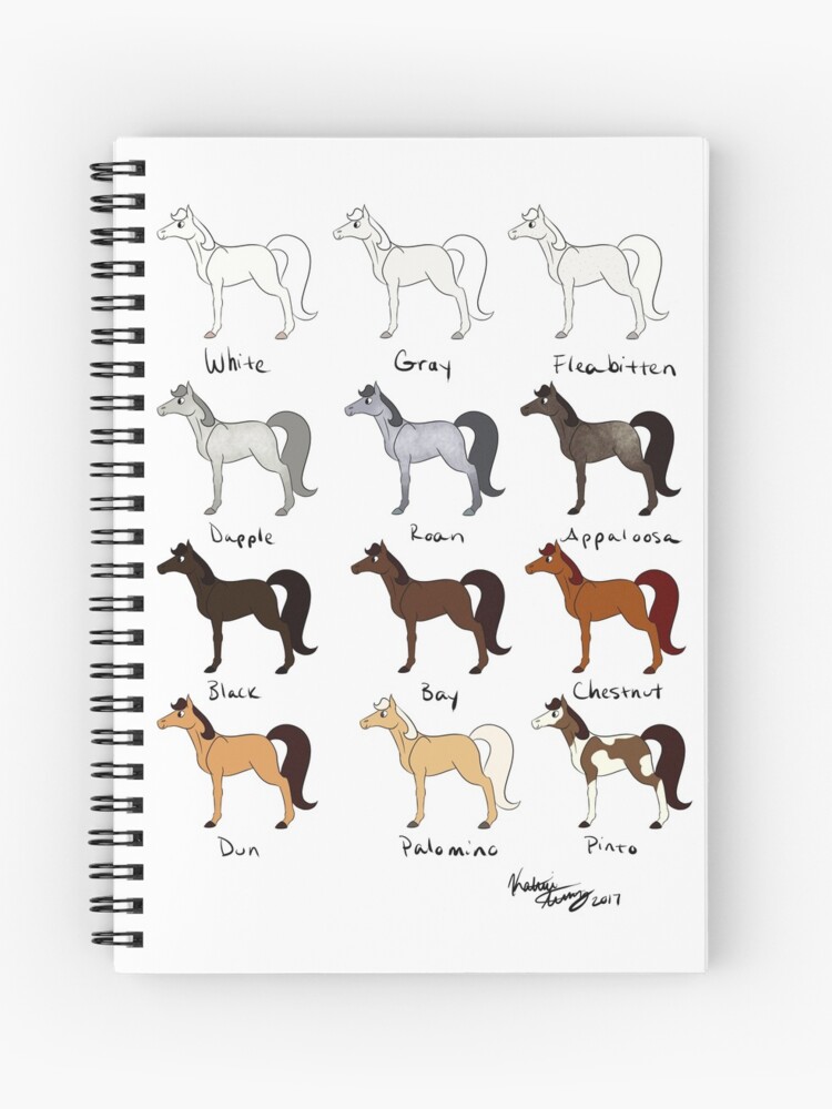 Horse Coat Colors iPad Case & Skin for Sale by kat-vs-art