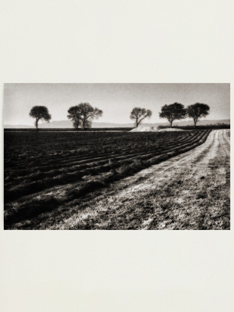 Alternate view of While the sun shines Photographic Print