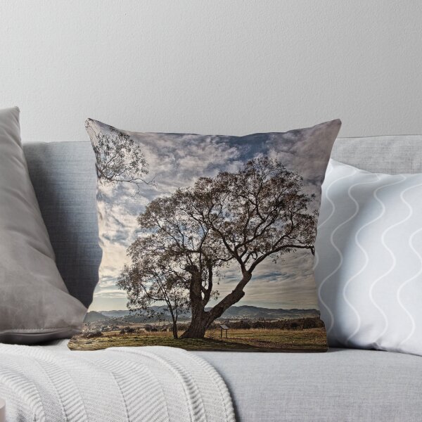 Item preview, Lone tree on the road to Tidbinbilla (2) in ACT/Australia designed and sold by Wolf Sverak Photography.