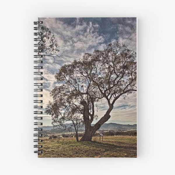 Item preview, Lone tree on the road to Tidbinbilla (2) in ACT/Australia designed and sold by Wolf Sverak Photography.
