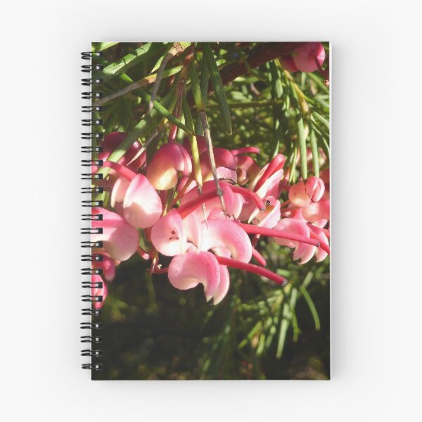Item preview, Grevillea Ellendale Poole, Australian Native, our garden, Adelaide Hills.  designed and sold by RitaBlom.