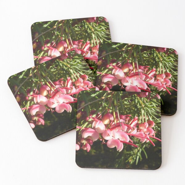 Item preview, Grevillea Ellendale Poole, Australian Native, our garden, Adelaide Hills.  designed and sold by RitaBlom.