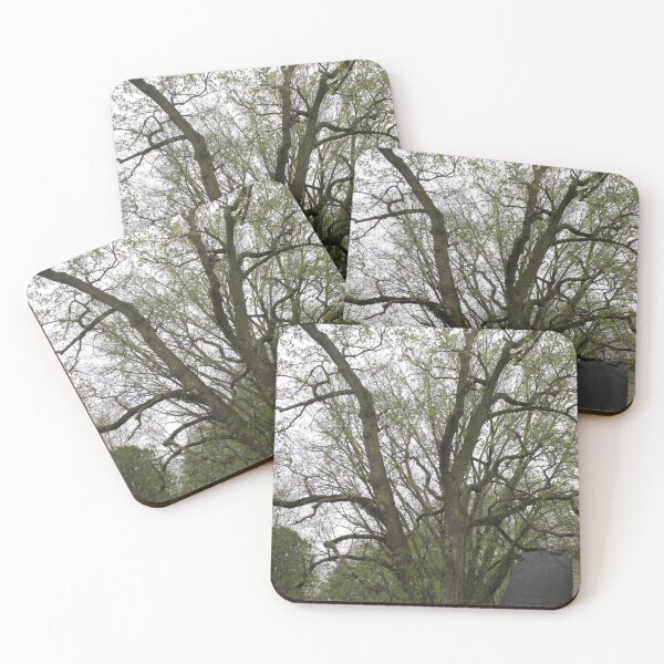 Item preview, The Canopy designed and sold by MissLADYbugsy.