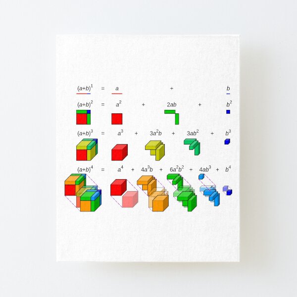 #Visualisation of #binomial #expansion up to the 4th #power Canvas Mounted Print