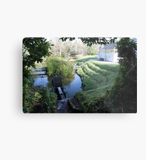 Beech Hill Grounds, Derry/Londonderry Metal Print