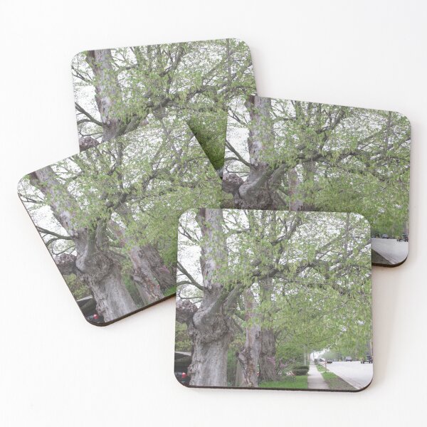 Item preview, One by One designed and sold by MissLADYbugsy.