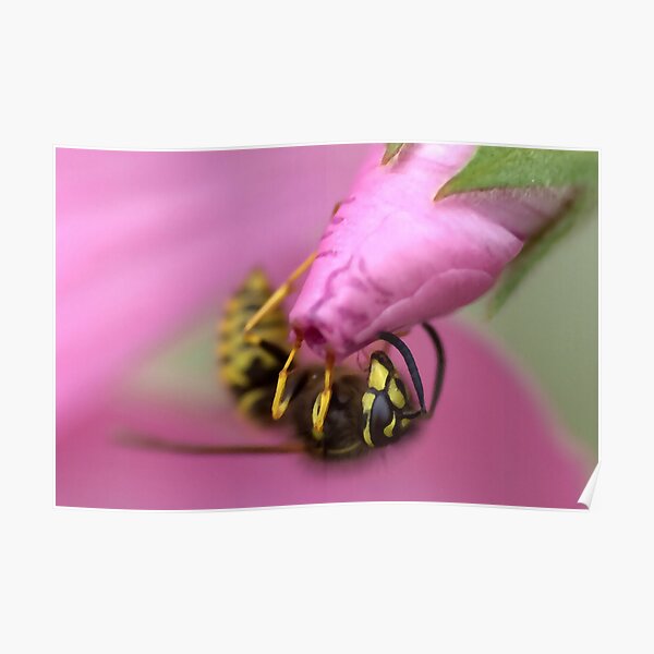 Stuck on You Poster