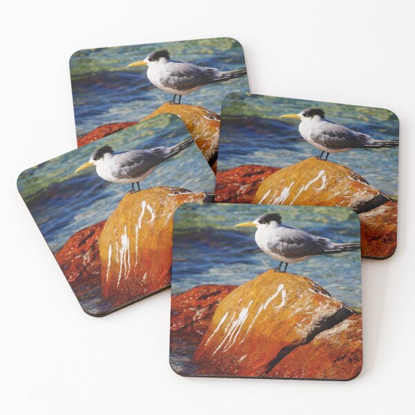 Item preview, Your Tern designed and sold by D-GaP.