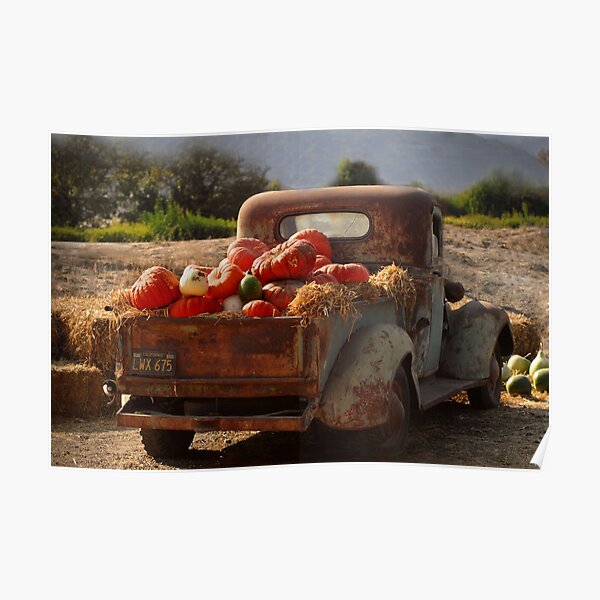 A cornacopia of trucks Poster